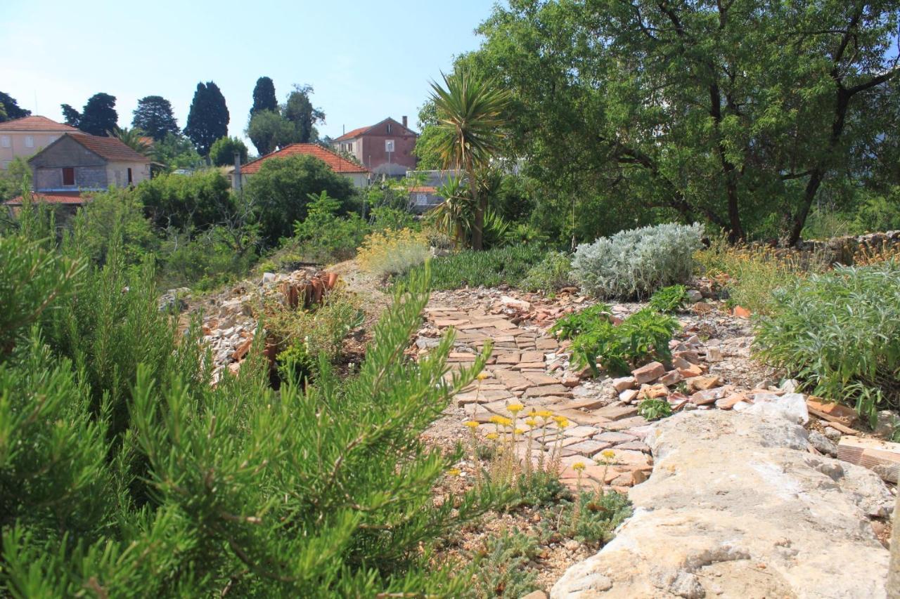 Apartments With A Parking Space Sali, Dugi Otok - 8084 Zewnętrze zdjęcie